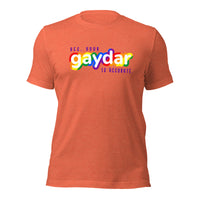 Load image into Gallery viewer, Gaydar Unisex t-shirt
