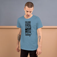 Load image into Gallery viewer, IDGAF Kind of Day Unisex t-shirt
