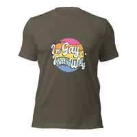 Load image into Gallery viewer, Because I&#39;m Gay Unisex t-shirt

